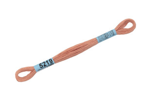 Мулине Гамма №5219 бежево-розовый